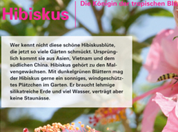 Reportaje para Küsten Magazin